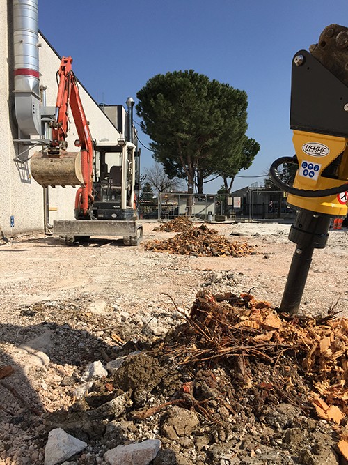 10._stump_milling_job_with_castoro_by_uemme